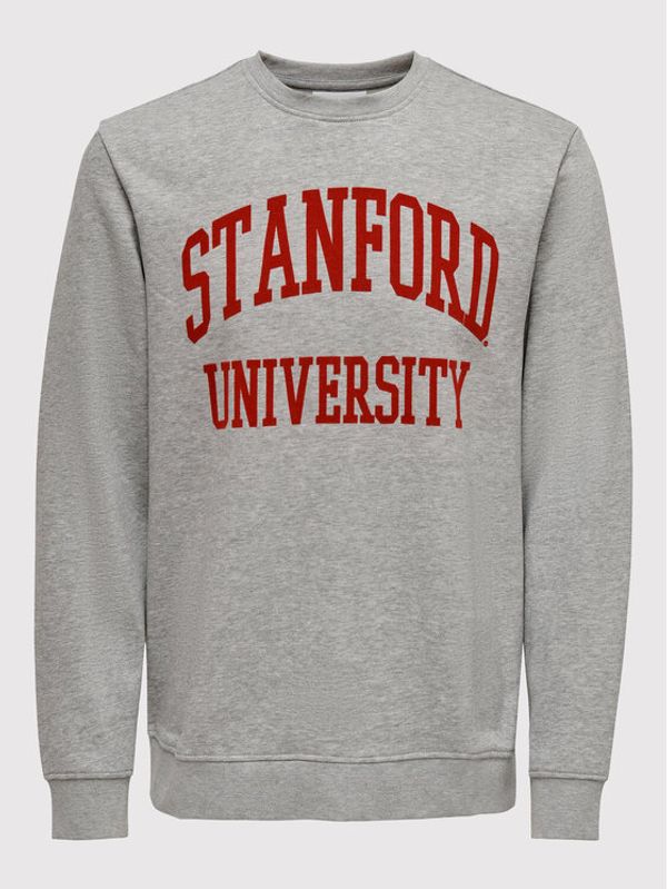 Only & Sons Only & Sons Суитшърт Dylan Stanford University 22023066 Сив Regular Fit