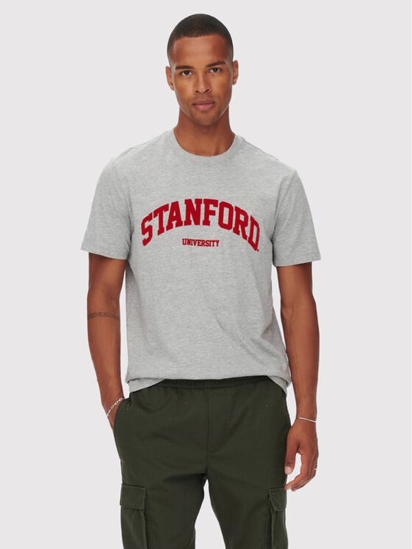 Only & Sons Only & Sons Тишърт Jake 22023064 Сив Regular Fit