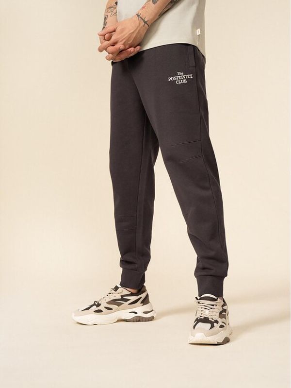 Outhorn Outhorn Долнище анцуг OTHSS23TTROM189 Кафяв Regular Fit