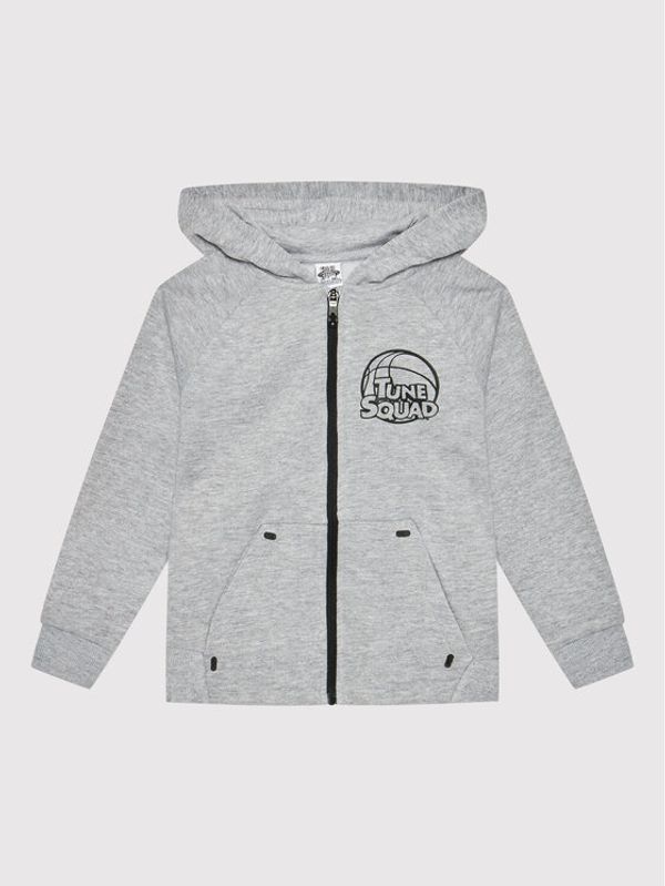 OVS OVS Суитшърт SPACE JAM 1321741 Сив Regular Fit