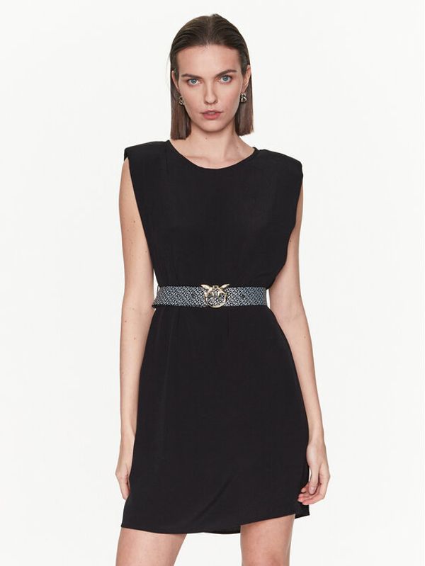 Pinko Pinko Ежедневна рокля 101138 A0US Черен Regular Fit