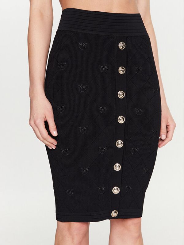 Pinko Pinko Пола тип молив Oviedo 100144 A0HW Черен Slim Fit