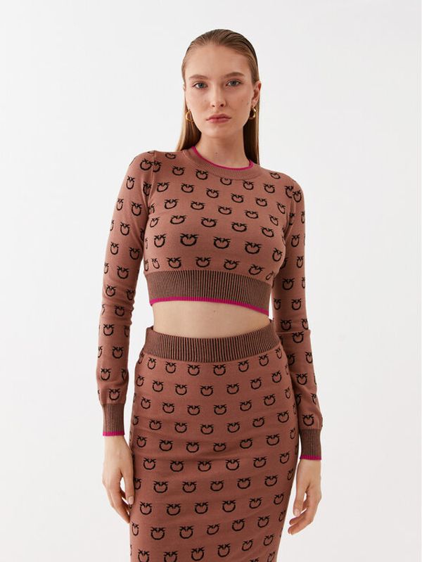 Pinko Pinko Пуловер Furetto 101561 A112 Кафяв Slim Fit
