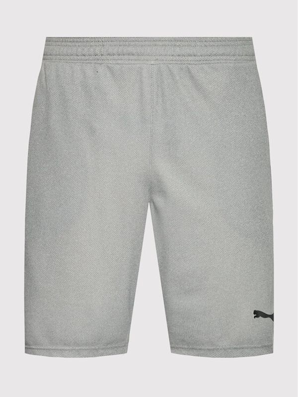 Puma Puma Спортни шорти Rtg Interlock 585835 Сив Regular Fit