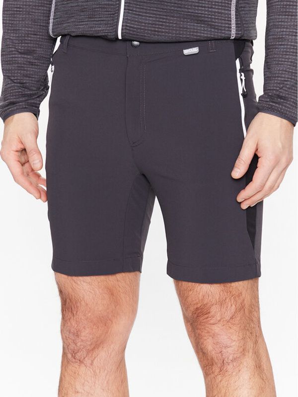 Regatta Regatta Спортни шорти Mountain II RMJ264 Сив Regular Fit