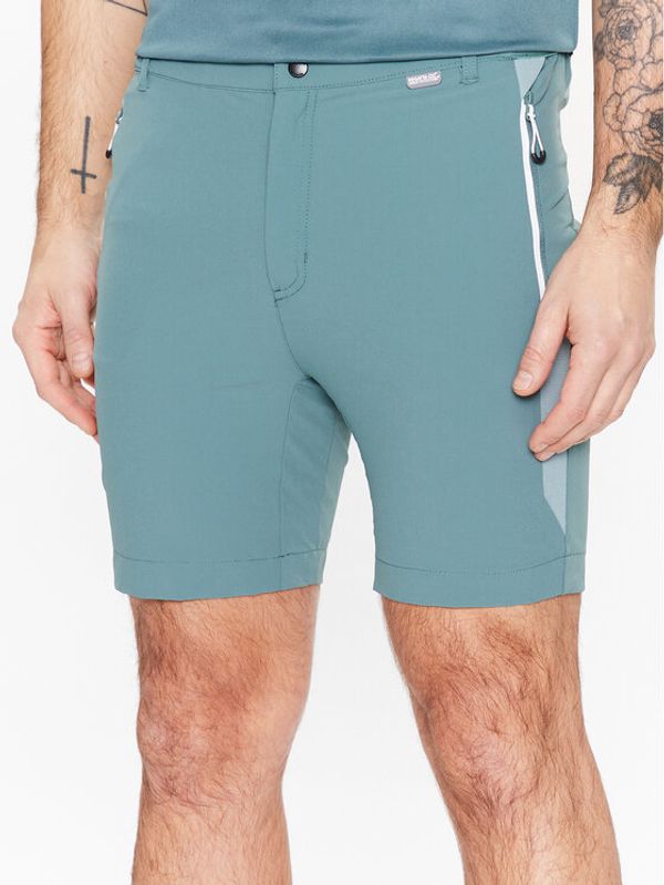 Regatta Regatta Спортни шорти Mountain II RMJ264 Зелен Regular Fit