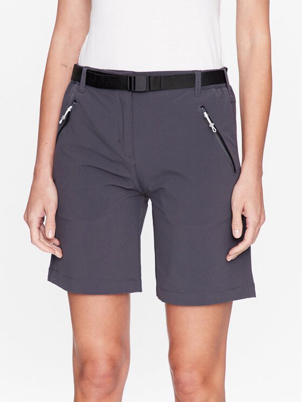 Regatta Regatta Спортни шорти Xert III RWJ221 Сив Regular Fit