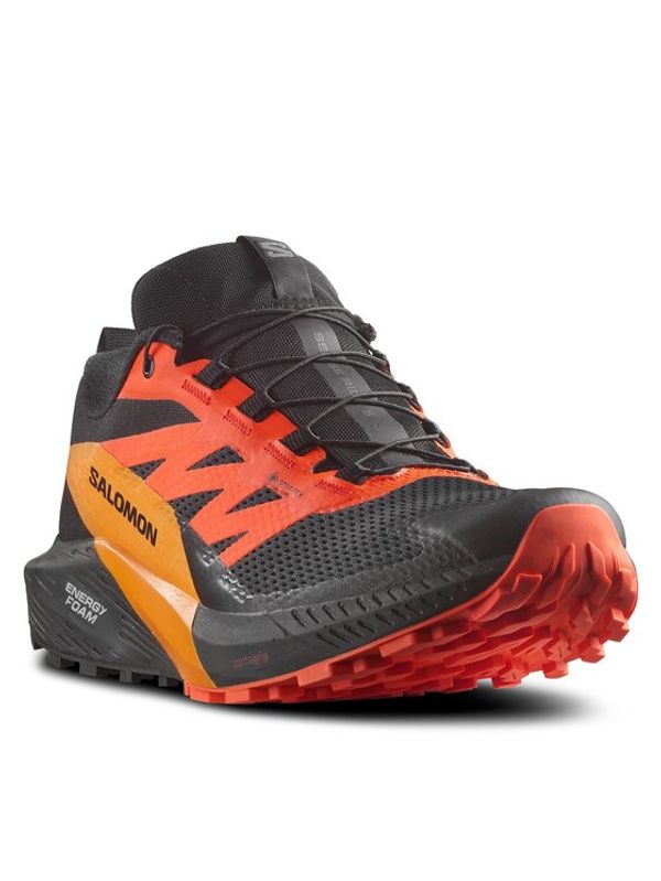 Salomon Salomon Обувки Sense Ride 5 Gore-Tex L47147300 Черен