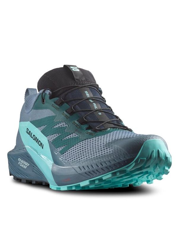 Salomon Salomon Обувки Sense Ride 5 Gore-Tex L47147400 Сив