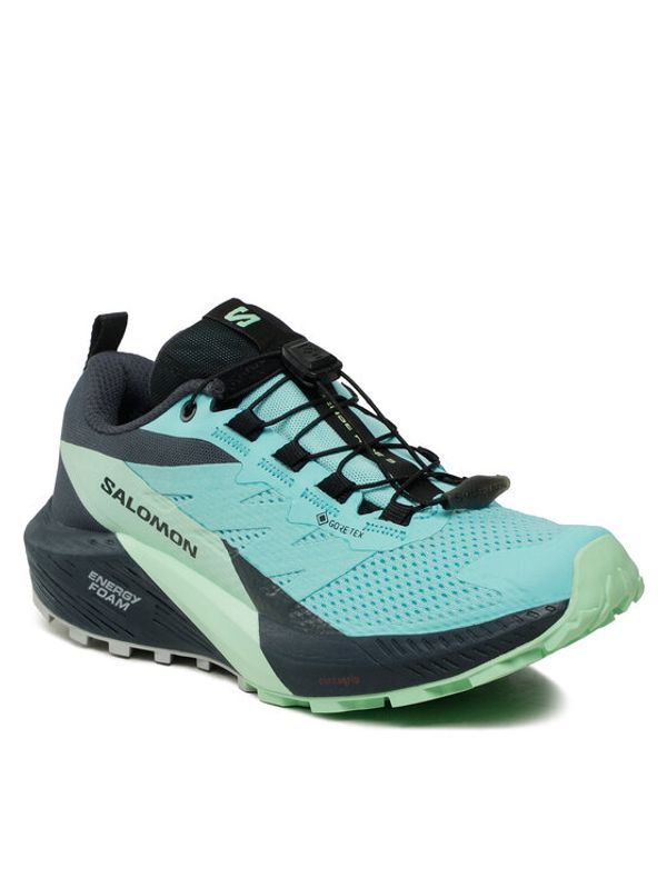 Salomon Salomon Обувки Sense Ride 5 Gore-Tex L47216000 Син