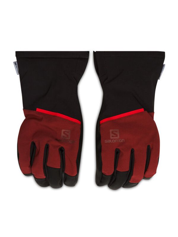 Salomon Salomon Ръкавици за ски Propeller One LC1427000 Черен