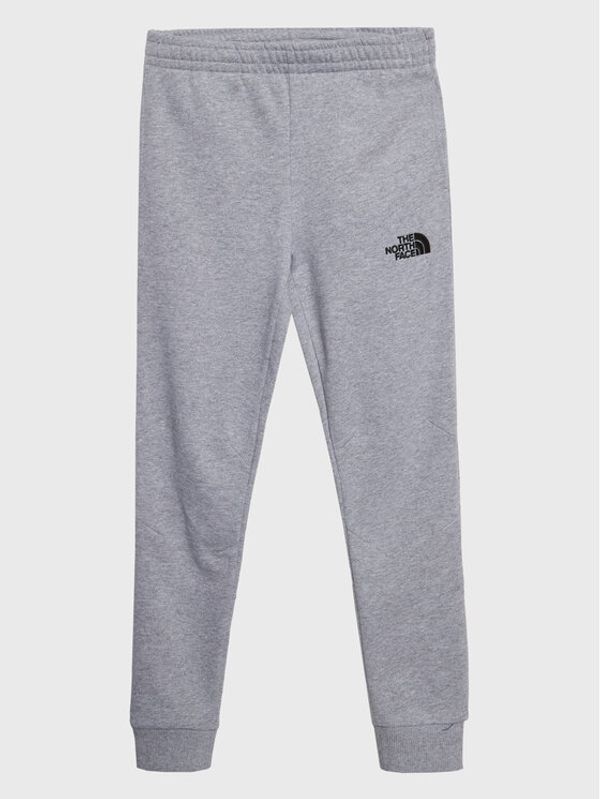 The North Face The North Face Долнище анцуг Teen NF0A82EO Сив Regular Fit