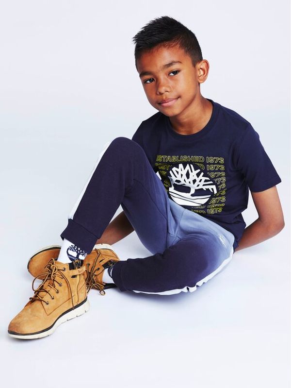 Timberland Timberland Тишърт T25T97 D Тъмносин Regular Fit