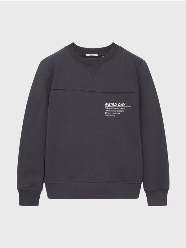 Tom Tailor Tom Tailor Суитшърт 1033160 Сив Regular Fit