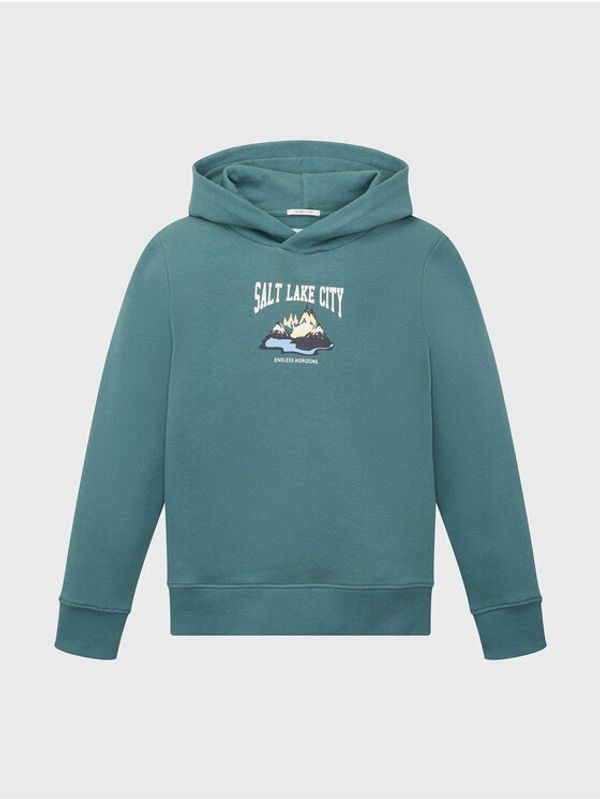 Tom Tailor Tom Tailor Суитшърт 1033193 Зелен Regular Fit