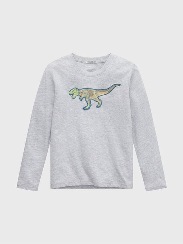 Tom Tailor Tom Tailor Тениска с дълъг ръкав 1033090 Сив Regular Fit