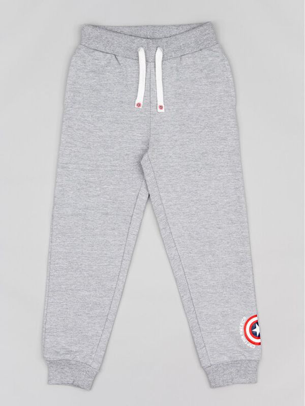 Zippy Zippy Долнище анцуг ZKBAP0401 23015 Сив Regular Fit