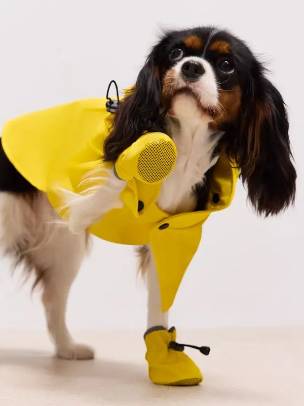 Mohito Mohito - Кучешки обувки - жълто