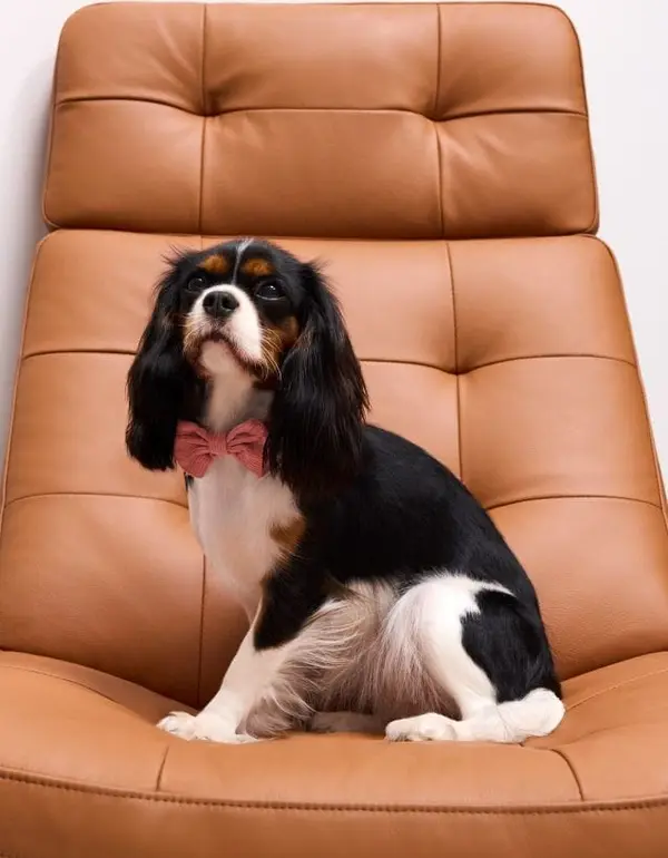 Mohito Mohito - Нашийник за куче - пастелно розово