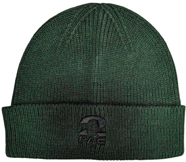 2Pac 2Pac шапка Fist Logo Green