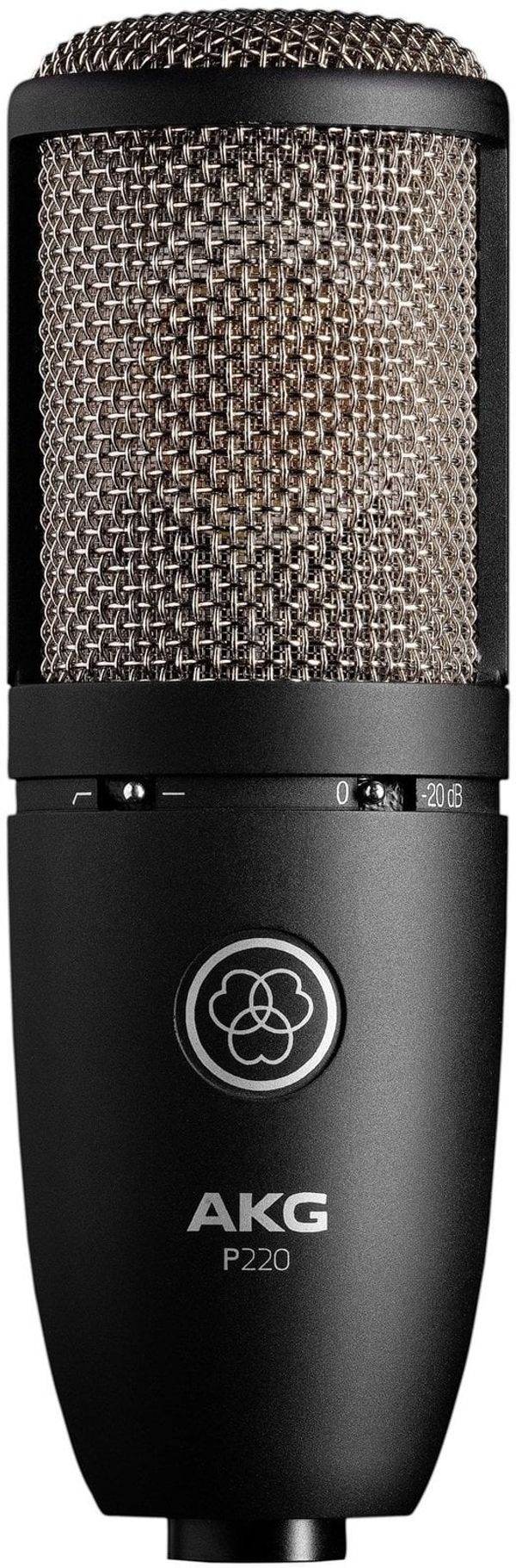 AKG AKG P220 Condenser Microphone