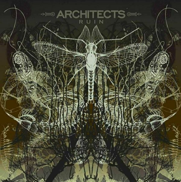 Architects Architects - Ruin (LP)