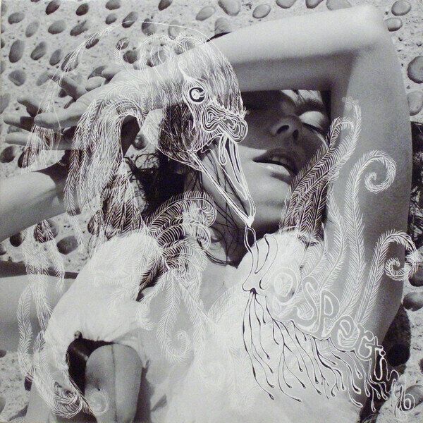 Björk Björk - Vespertine (180g) (2 LP)