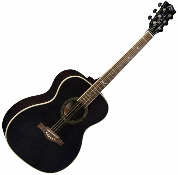 Eko guitars Eko guitars NXT A100 Black