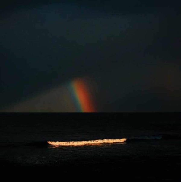 Electric Litany Electric Litany - Under A Common Sky (Limited Edition) (White Coloured) (LP)