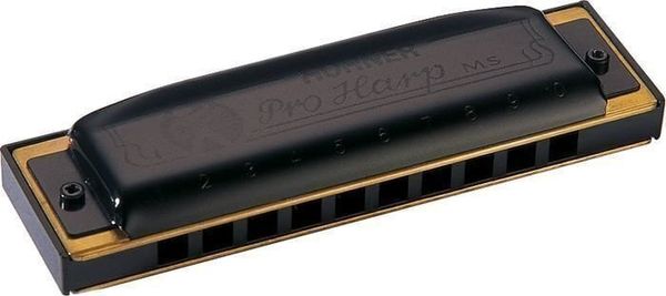 Hohner Hohner Pro Harp MS D Диатонична устна хармоника
