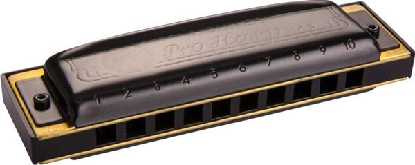 Hohner Hohner Pro Harp MS G Диатонична устна хармоника