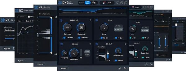 iZotope iZotope RX 11 Elements (Дигитален продукт)