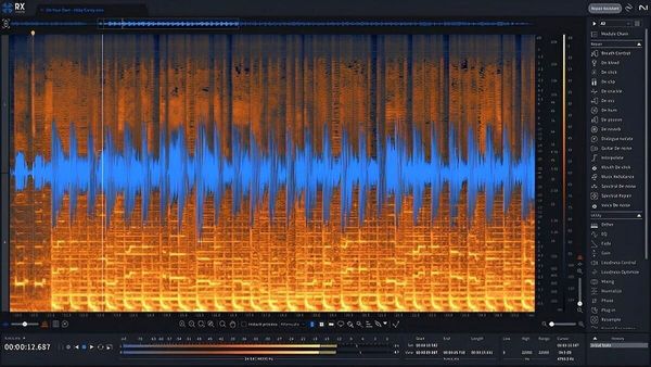 iZotope iZotope RX 11 Standard (Дигитален продукт)