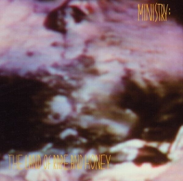 Ministry Ministry - The Land Of Rape And Honey (2 LP)