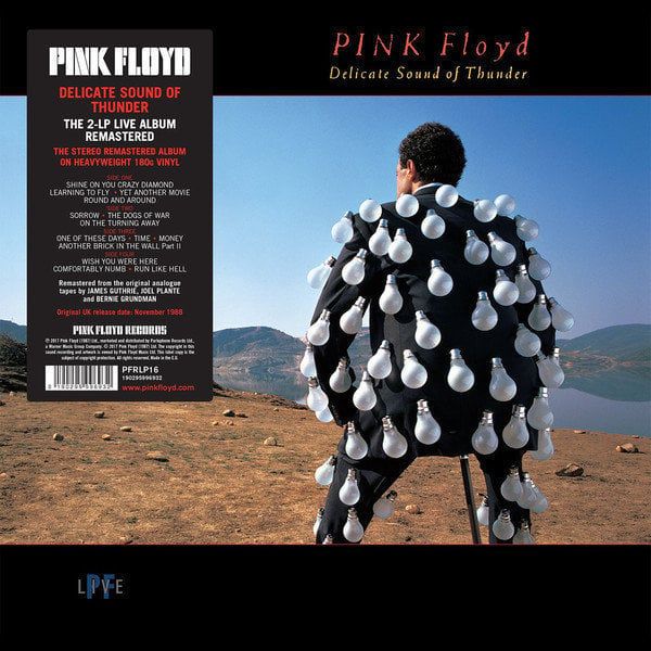 Pink Floyd Pink Floyd - Delicate Sound Of Thunder (LP)