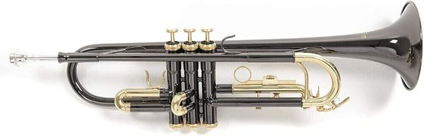 Roy Benson Roy Benson TR-101K Bb Тромпет