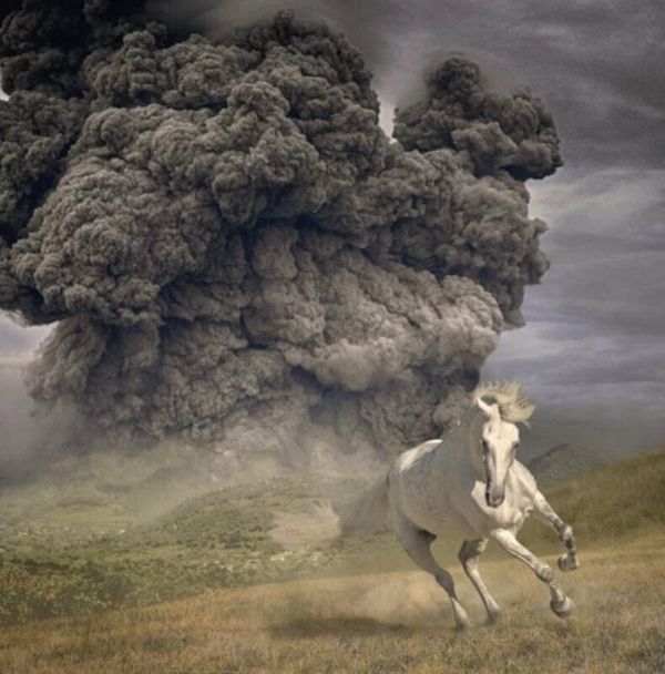 The White Buffalo The White Buffalo - Year Of The Dark Horse (LP)