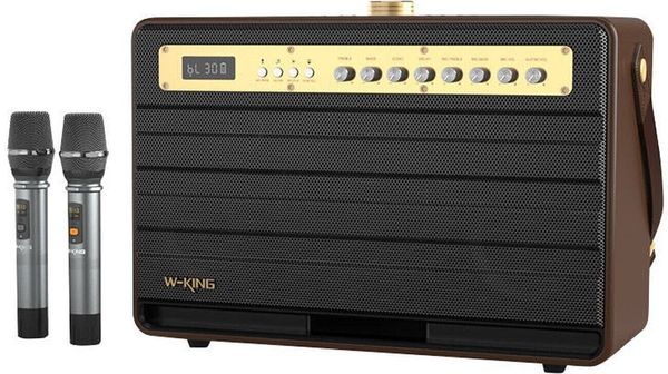 W-KING W-KING K6L Портативна/Преносима тонколона Brown