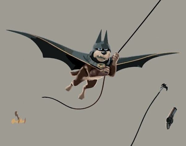 Zuty Zuty Рисуване по номера Ace on the Rope (DC League Of Super-Pets)