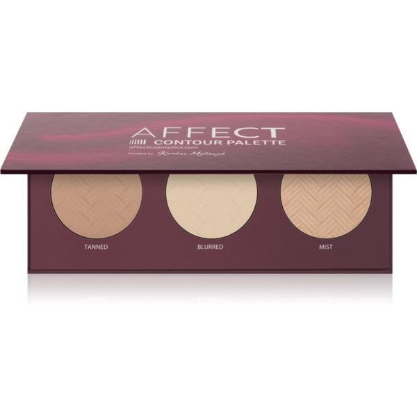 Affect Affect Contour Palette контурираща палитра за лице за лице 3x6 гр.