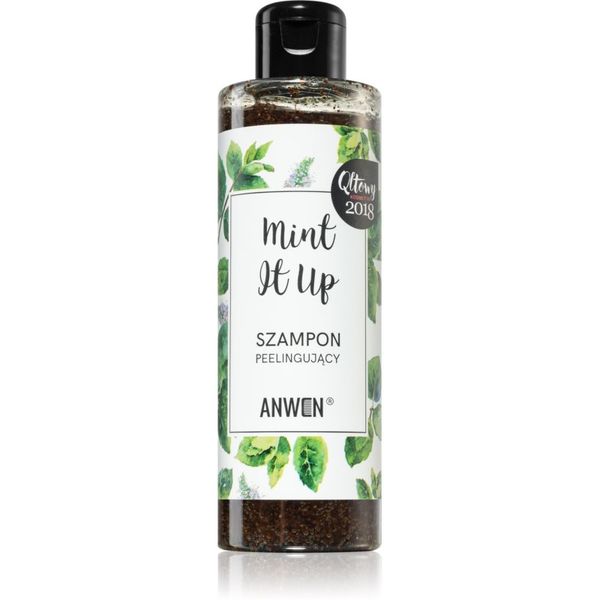 Anwen Anwen Mint It Up ексфолиращ шампоан 200 мл.