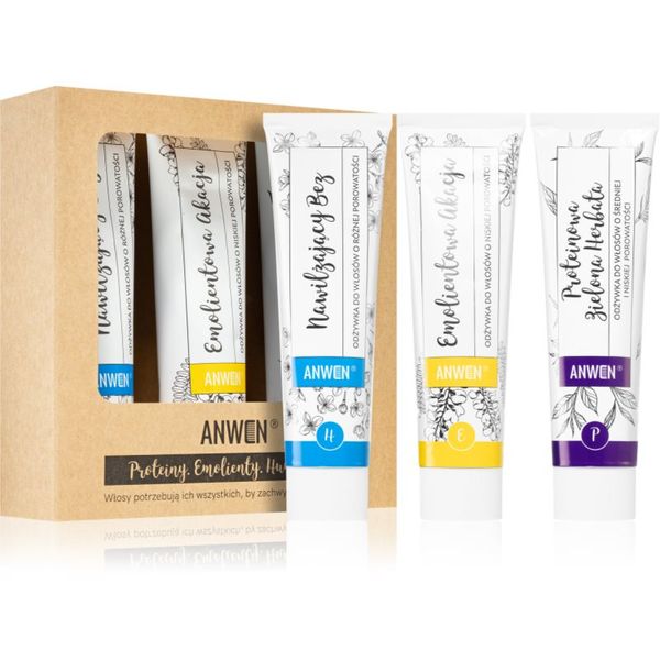 Anwen Anwen Proteins . Emollients . Humectants балсам за коса изгодна опаковка 3 x 100 ml Low porosity