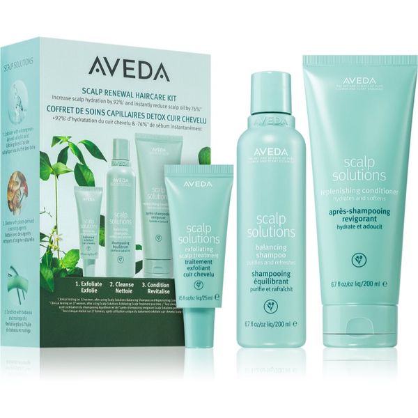 Aveda Aveda Scalp Solutions Renewal Set подаръчен комплект (За коса)