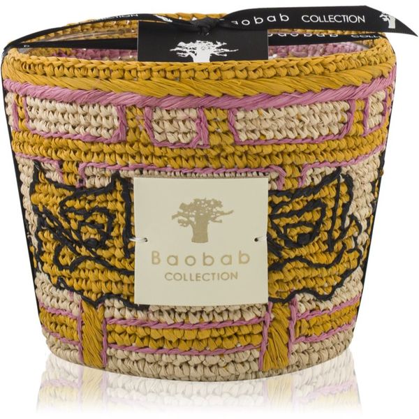 Baobab Collection Baobab Collection Frida Draozy Diego ароматна свещ 10 см