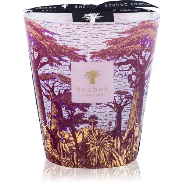 Baobab Collection Baobab Collection Sacred Trees Massasso ароматна свещ 1000 гр.