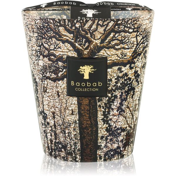 Baobab Collection Baobab Collection Sacred Trees Morondo ароматна свещ 16 см