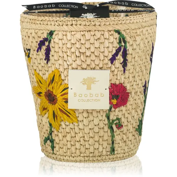 Baobab Collection Baobab Collection Vony Ahitra ароматна свещ 1000 гр.