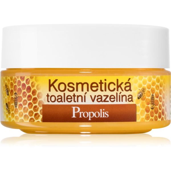 Bione Cosmetics Bione Cosmetics Honey + Q10 козметичен вазелин 155 мл.