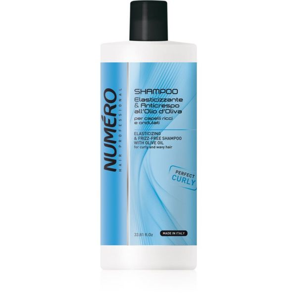 Brelil Professional Brelil Professional Elasticizing & Frizz-Free Shampoo шампоан за къдрава коса 1000 мл.