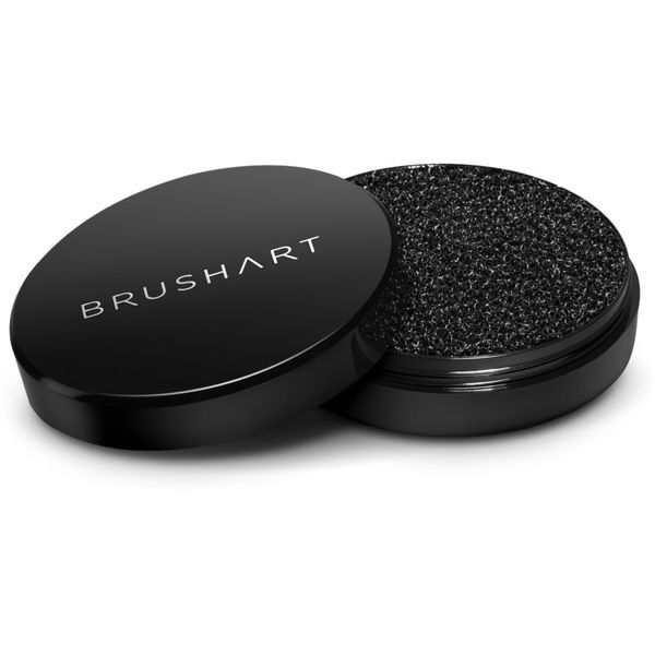BrushArt BrushArt Professional Brush cleaning sponge Суха гъба за сухо почистване на четки 1 бр.